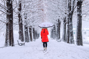 Snowfall In Chicago Strategies For Safe Commuting And Outdoor Activities