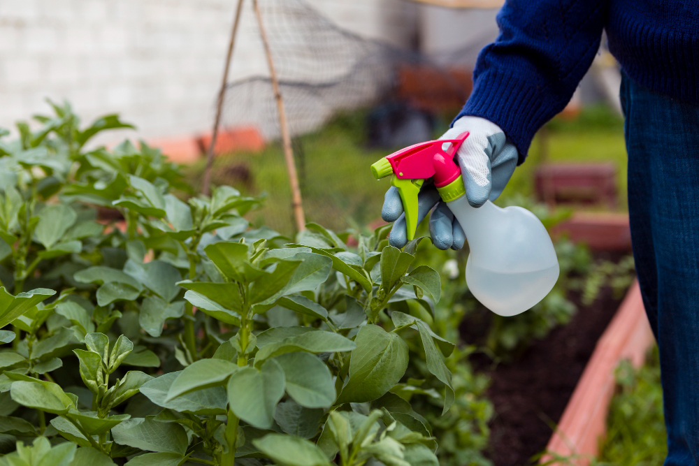 The Best Herbicides On The Market Today