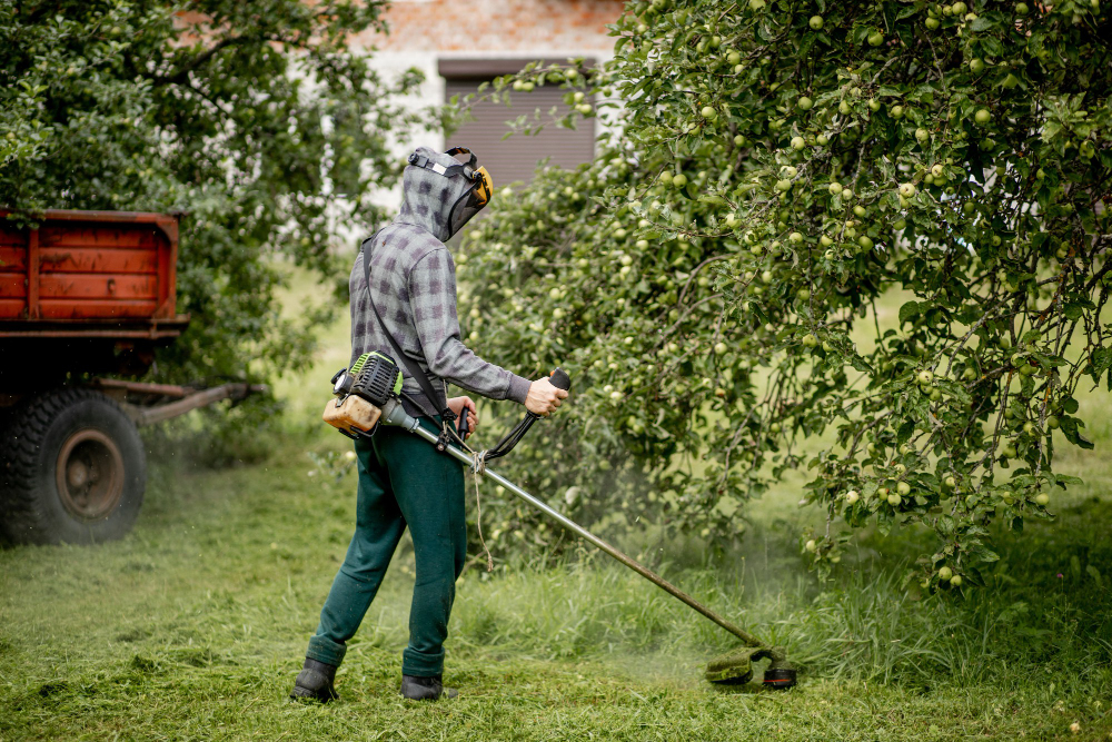Vinegar As Herbicide The Natural Weed Assassin