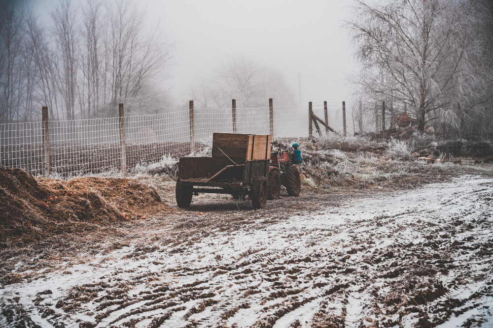 Top 6 Substitutes For Kitty Litter In Winter Ice Control