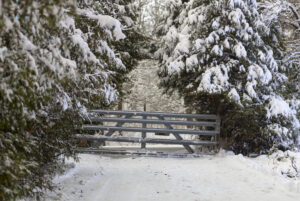 Does Table Salt Melt Ice Effective De-Icing for Your Driveway