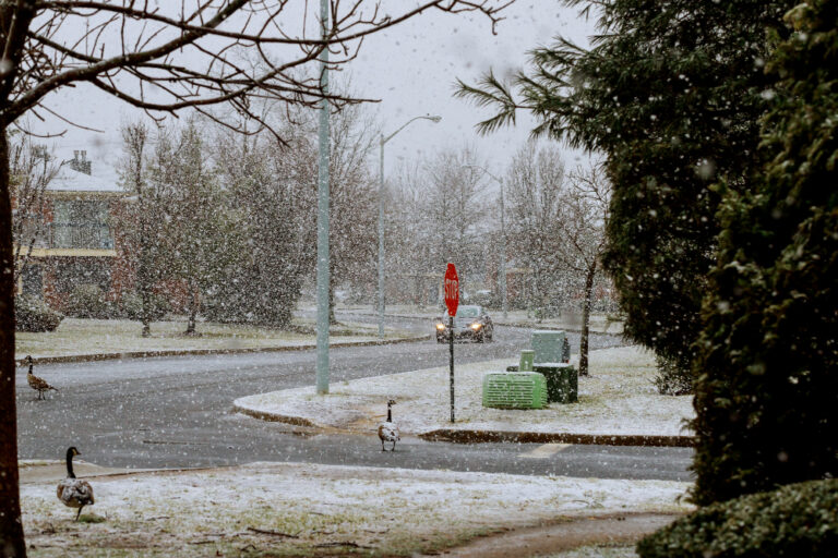 Homemade De-Icer Solutions Safe and Effective Methods for Winter Walkways