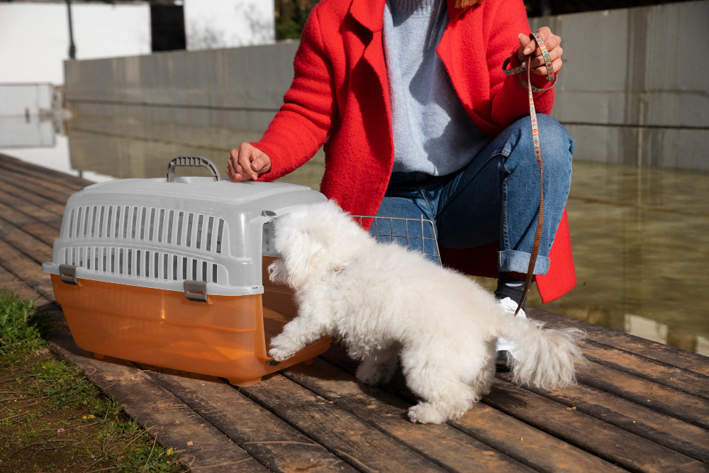Is Magnesium Chloride Safe for Dogs Evaluating Pet-Friendly Ice Melts