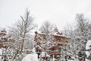 January 21 Snowstorm Gulf Coast to Mid-Atlantic Weather Alert