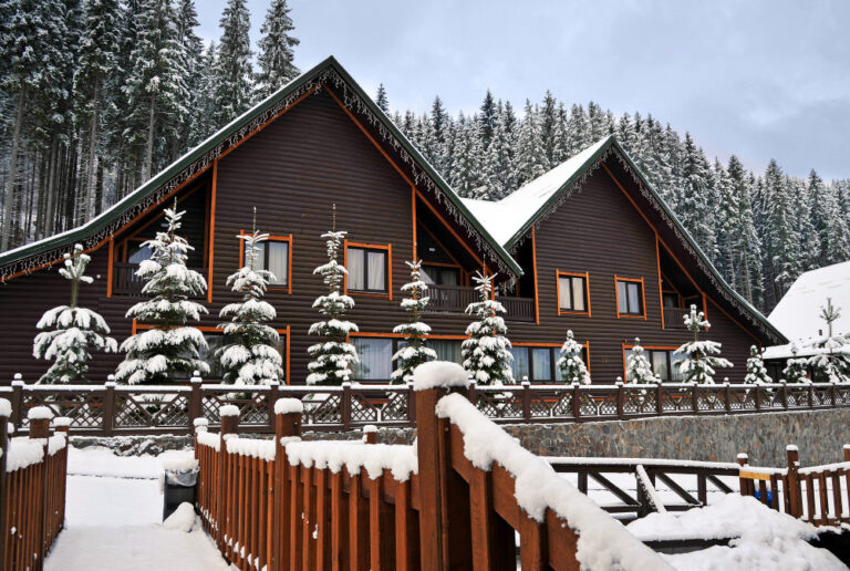 January 22 Snowstorm Prepare Your Lawn and Home for Winter's Impact