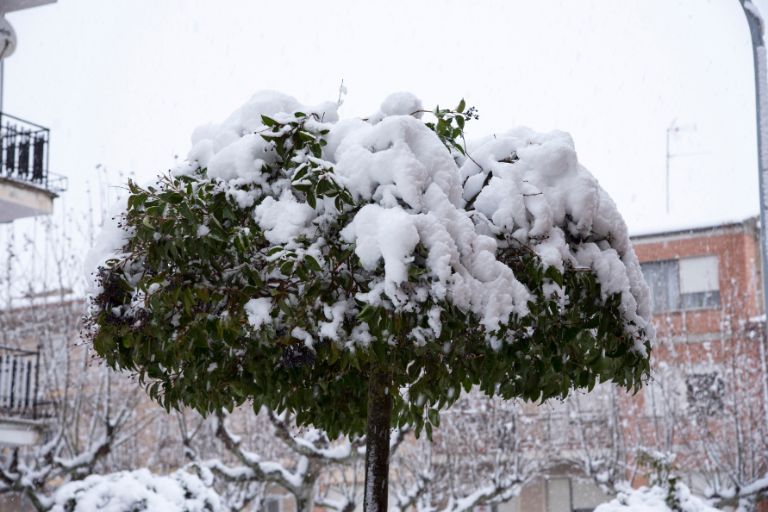 Major Snowfall Predicted for January 5 Midwest Braces for Winter's Fury