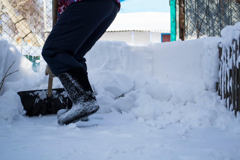 Polar Vortex Forecast Severe Winter Weather Expected in 2025