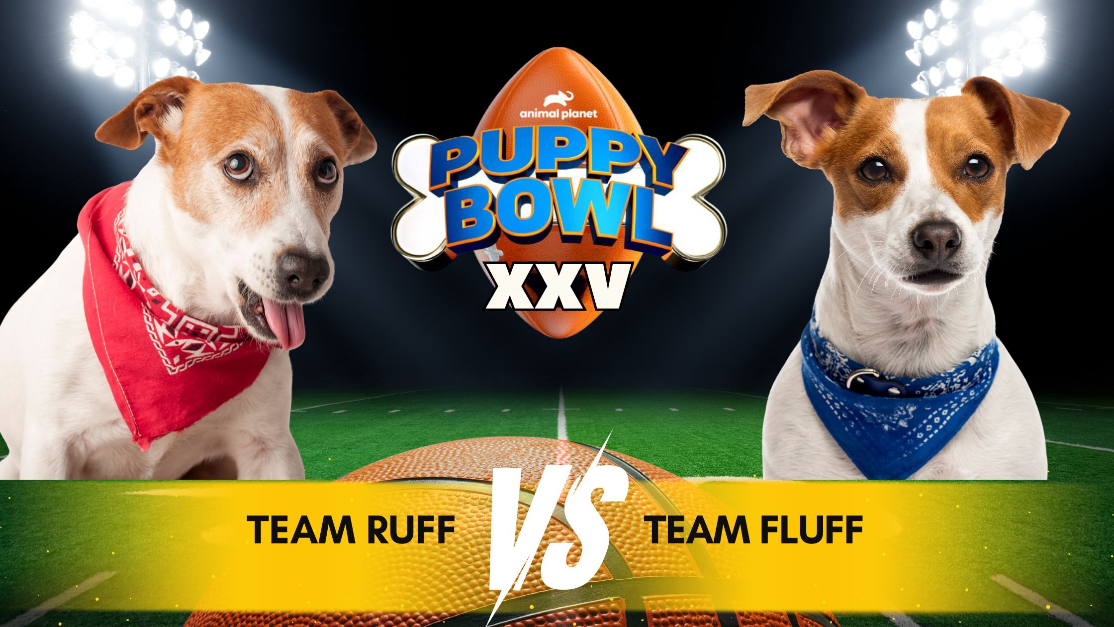 Puppy Bowl  - 