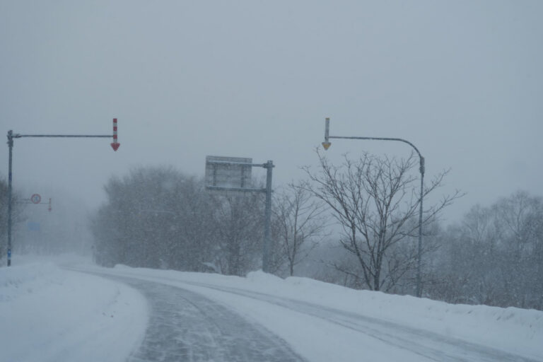 Snowfall Prediction for January 16_ Prepare for Moderate Snow and Persistent Cold