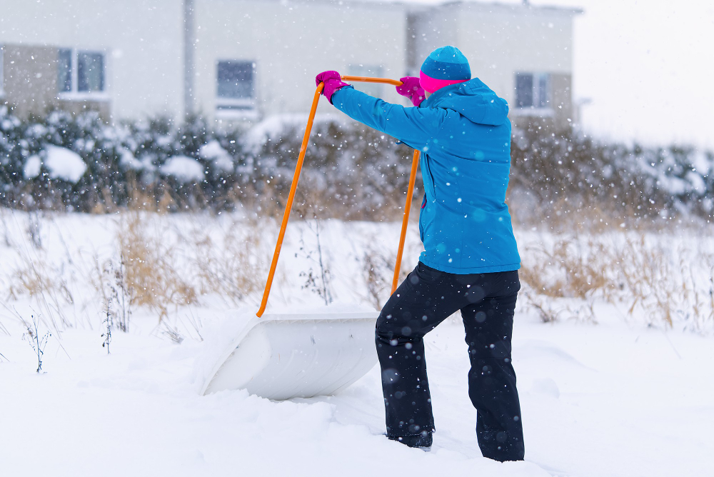 Snowstorm Prediction for Jan 25 Blizzard Preparation Tips for Affected States