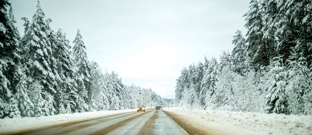 What Is Snowbunny Exploring Its Meaning and Cultural Significance