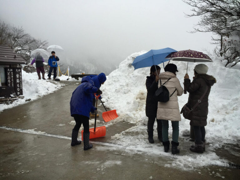 February 1 Winter Storm Alert Essential Blizzard Preparation Tips