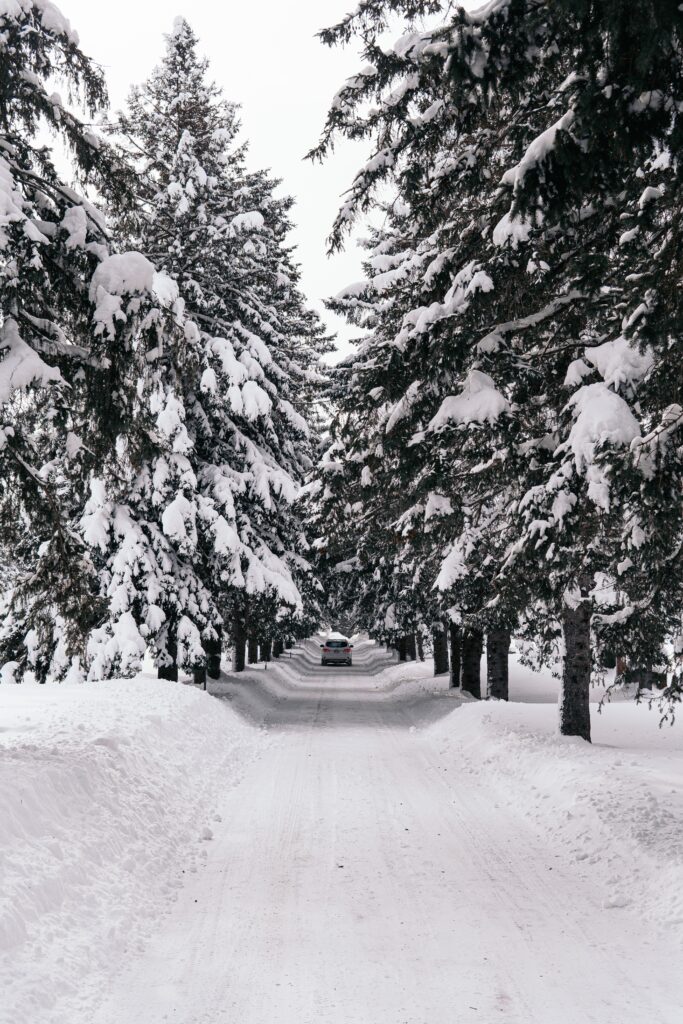 Major Snowstorm Predicted for February 17 Ohio Valley and Mid-Atlantic Brace for Impact