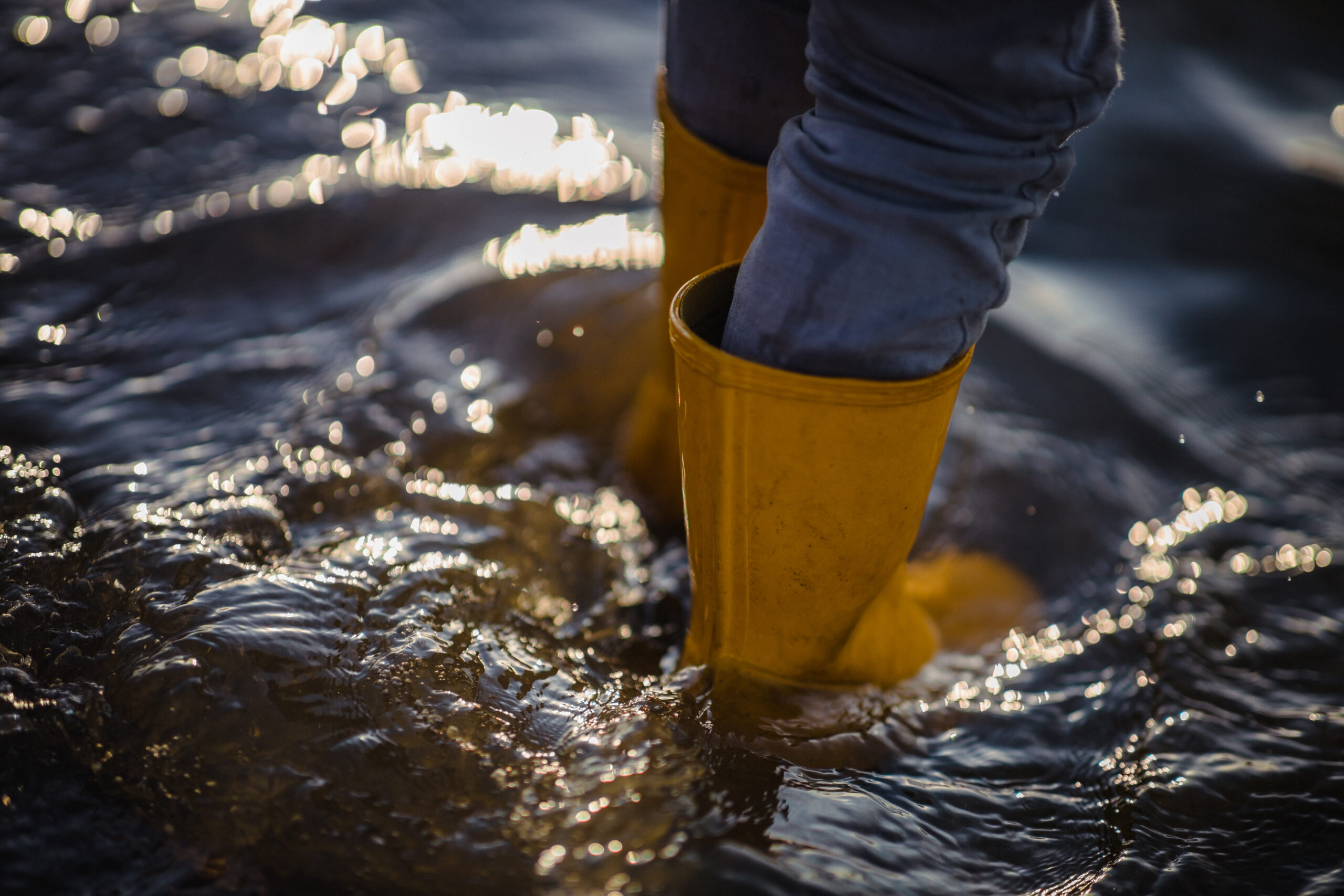 Navigating Lakeshore Flood Warnings and Winter Weather Challenges
