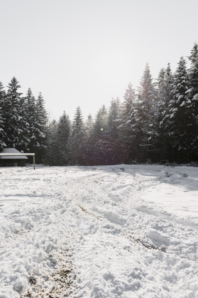 Winter Storm Developing Over Montana Increased Snowfall Expected in the Northwest on February 19