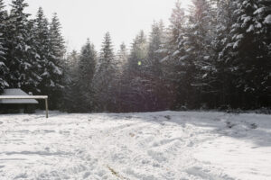 Winter Storm Developing Over Montana Increased Snowfall Expected in the Northwest on February 19