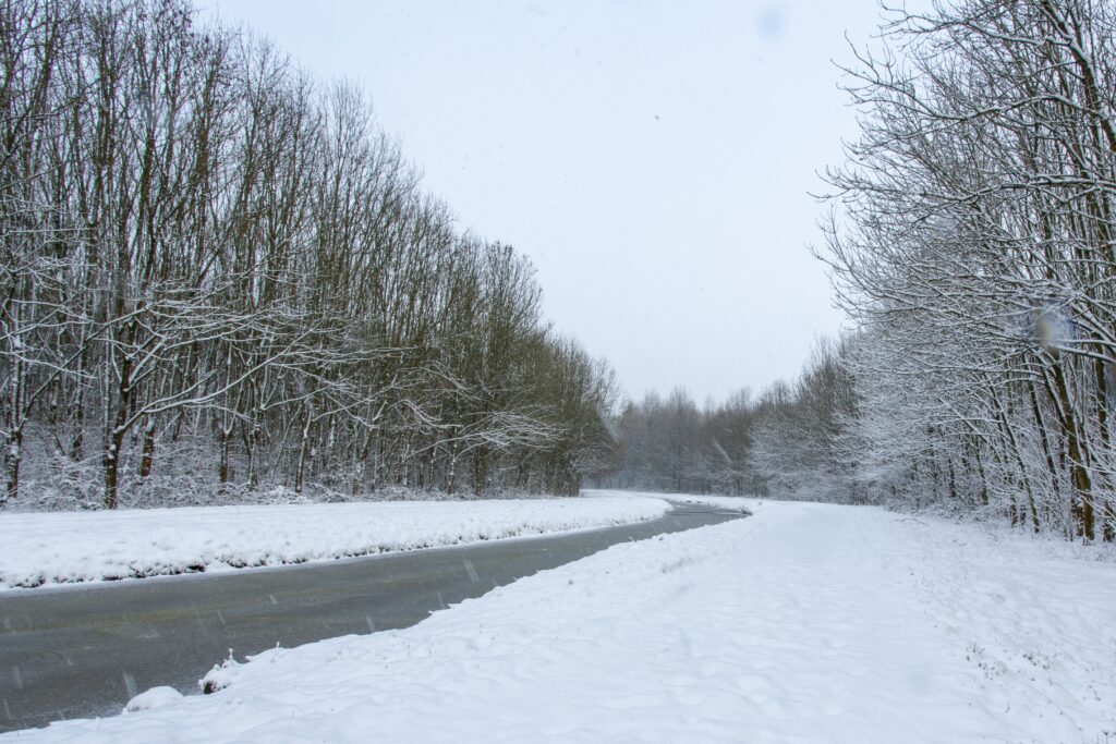 Spring Storm Brings Gusty Winds, Rain, and High-Terrain Snow to the Northeast on March 6