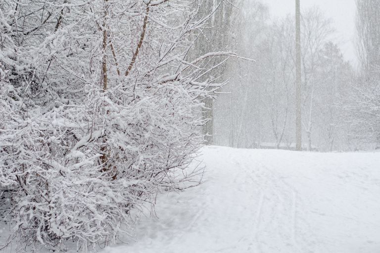 Heavy Snowfall Expected Across Western States and Northern Plains on March 3, 2025