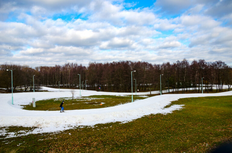 Lush Lawns in Winter Haven A Guide to Safe Lawn Care with Eco-Friendly Solutions