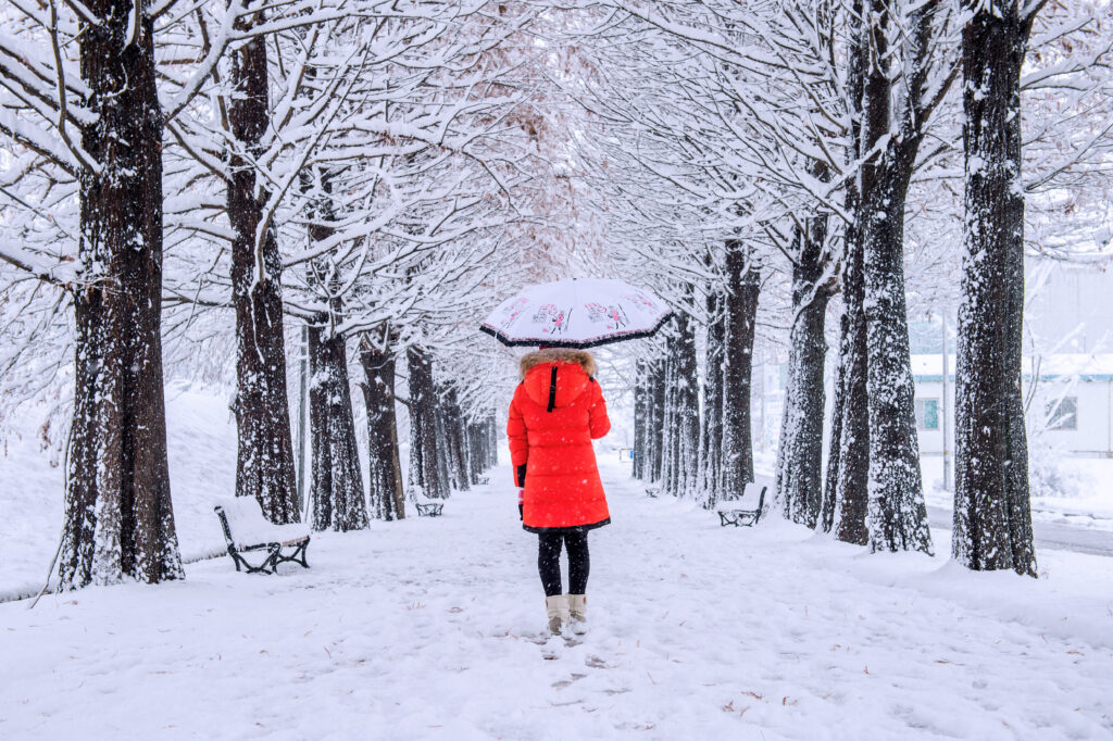 Major Snowstorm Expected in Wyoming, South Dakota, Utah, Colorado, Nebraska, and Iowa on March 7