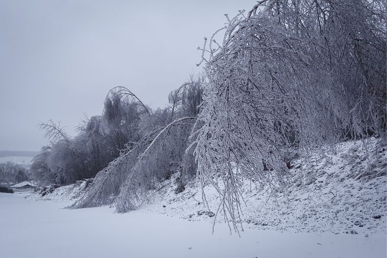 Severe Winter Storm Brings Snow and Extreme Cold to Tennessee
