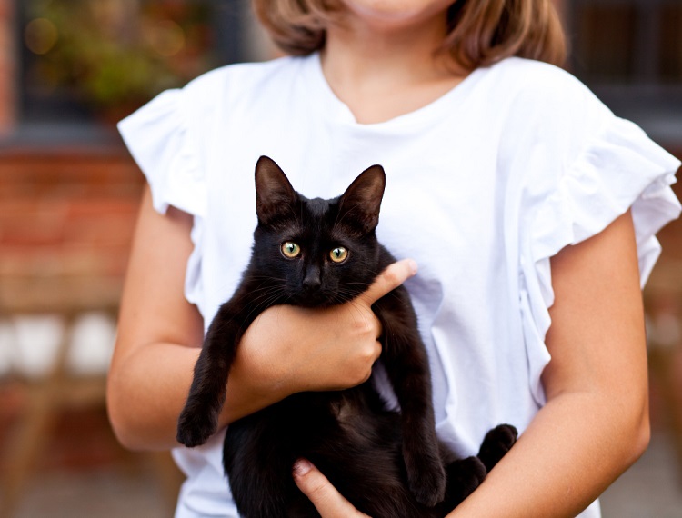 Black Cat Adoption Awareness