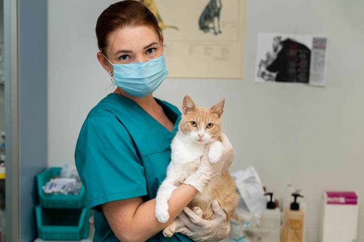 International Day of Veterinary Medicine 