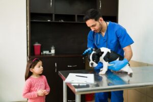 Veterinarian Comforting Dog And Owner During Goodbye