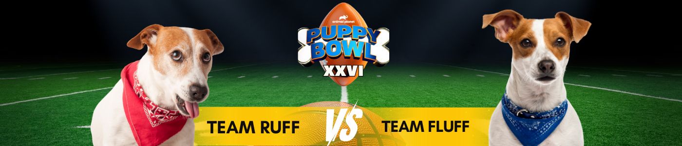 Puppy Bowl - Puppy Safe Ice Melt